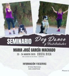 Dog Dance & Habilidades